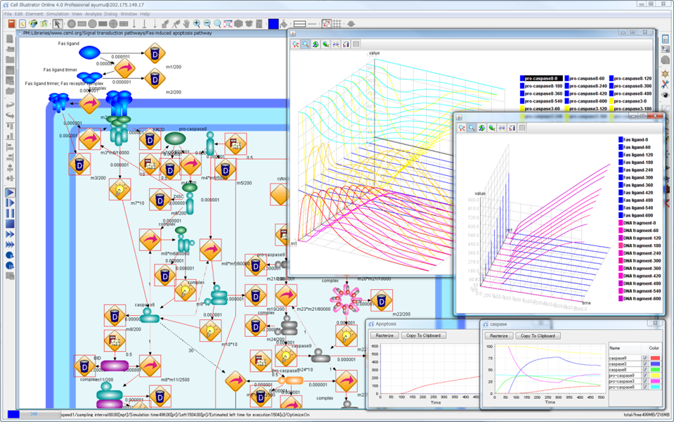 lac operon